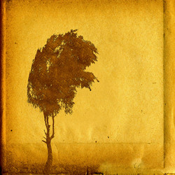 Similar image 879205