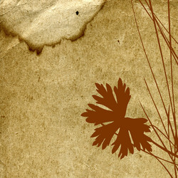 Similar image 879219