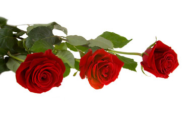 Similar image 879222