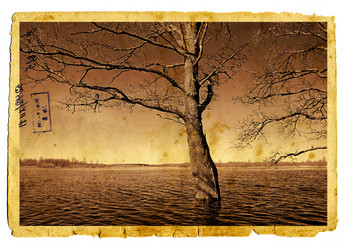 Similar image 879228