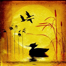 Similar image 879244