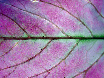 Similar image 879270