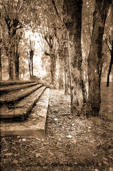 Similar image 879271