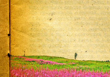 Similar image 879277