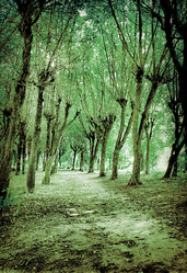 Similar image 879279