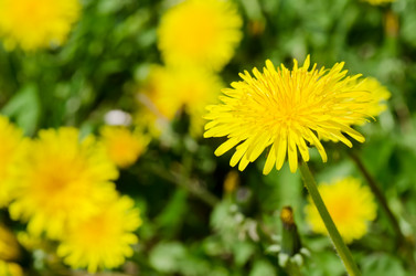 Similar image 879292