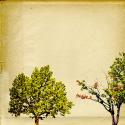 Similar image 879300