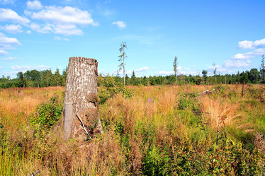 Similar image 879302