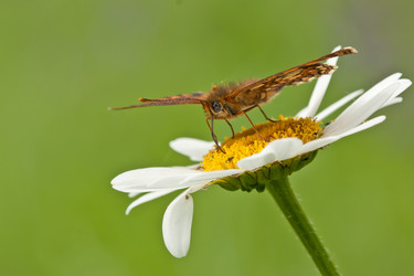 Similar image 879308