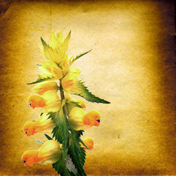 Similar image 879312