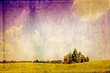 Similar image 879315