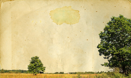 Similar image 879316