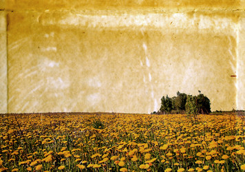 Similar image 879318