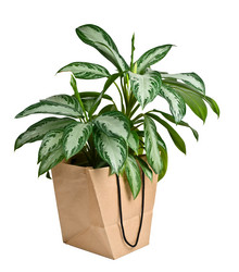 Similar image 879399