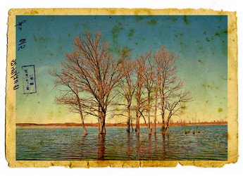 Similar image 879403