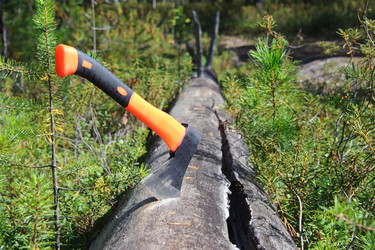 Similar image 879450