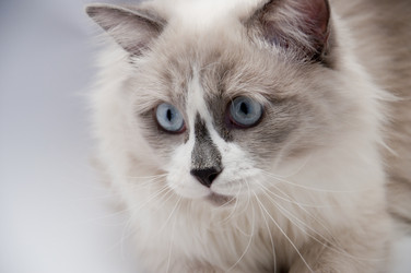 Similar image 879461