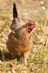 Similar image 879473