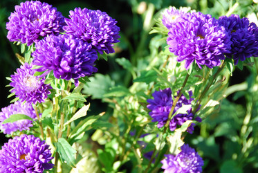 Similar image 879503