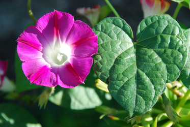 Similar image 879504