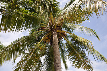 Similar image 879509