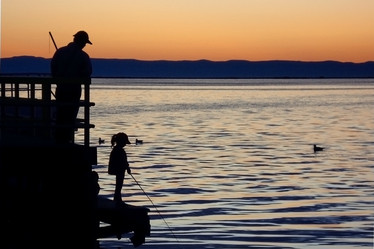 Similar image 879519