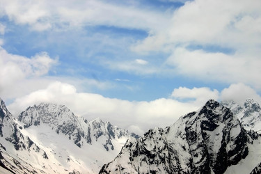 Similar image 879522