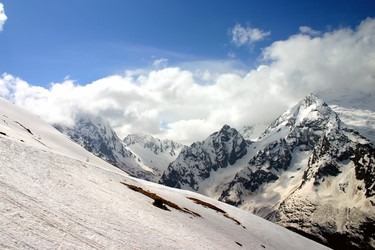 Similar image 879525