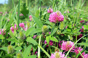 Similar image 879546