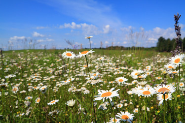 Similar image 879547