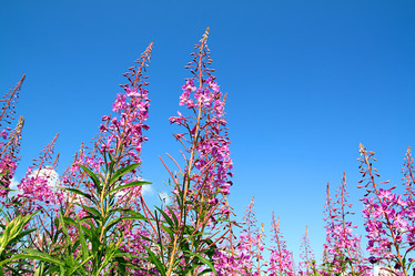 Similar image 879553