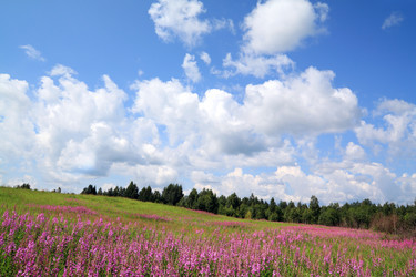 Similar image 879555