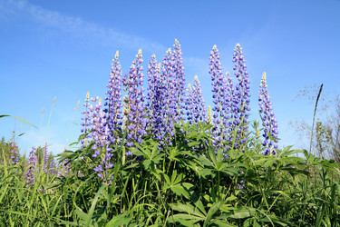 Similar image 879559