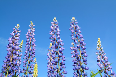 Similar image 879560