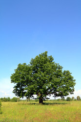 Similar image 879570