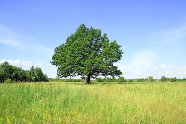 Similar image 879572