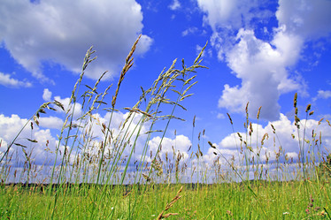 Similar image 879582