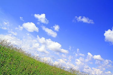 Similar image 879583