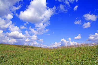 Similar image 879584