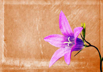 Similar image 879592