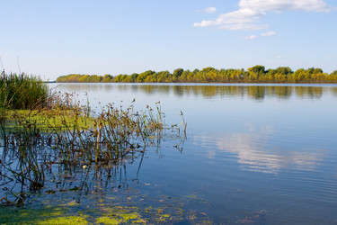 Similar image 879598