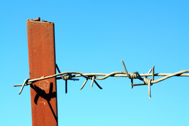 Similar image 879609