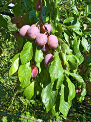 Similar image 879613