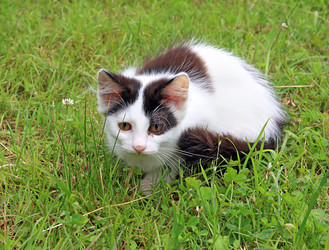 Similar image 879615