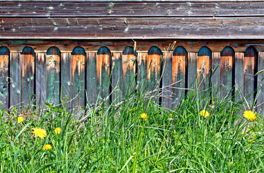 Similar image 879627