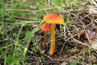 Similar image 879656