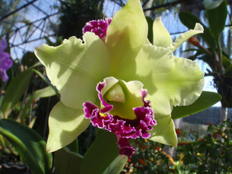 Similar image 879712