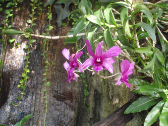 Similar image 879713