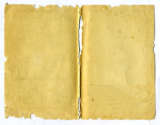 Similar image 879720