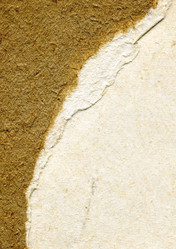 Similar image 879733